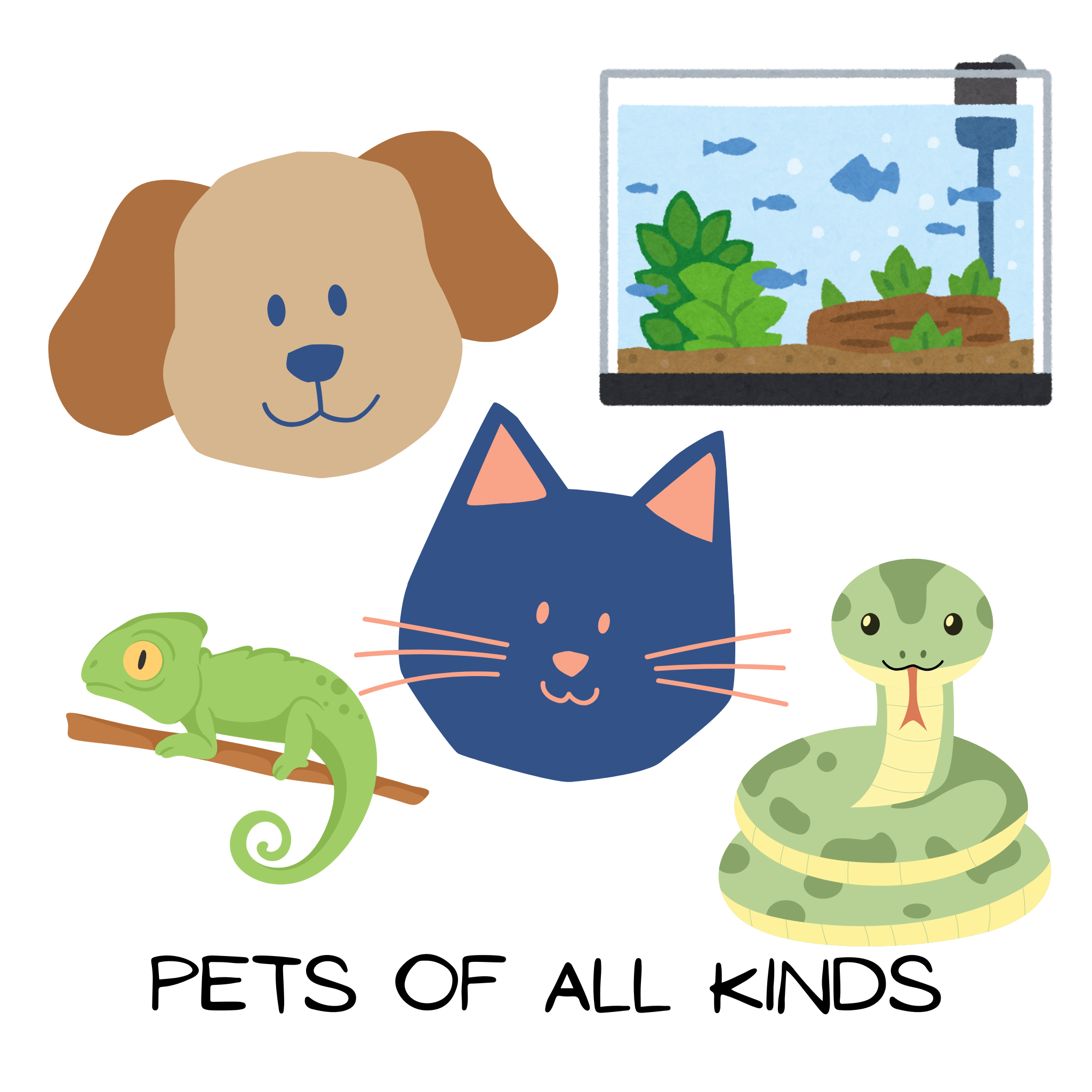 Pets